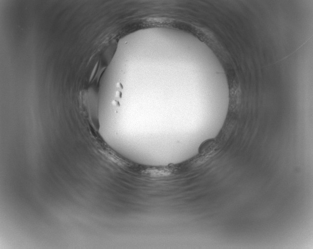 X0000052990765200508051108