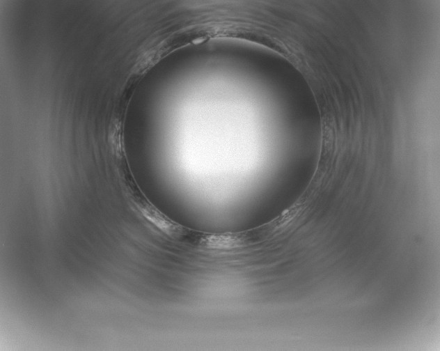 X0000052990766200508051108