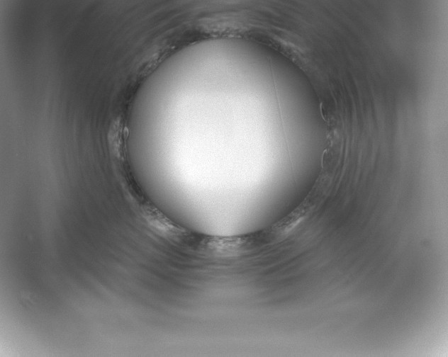 X0000052990767200508051108