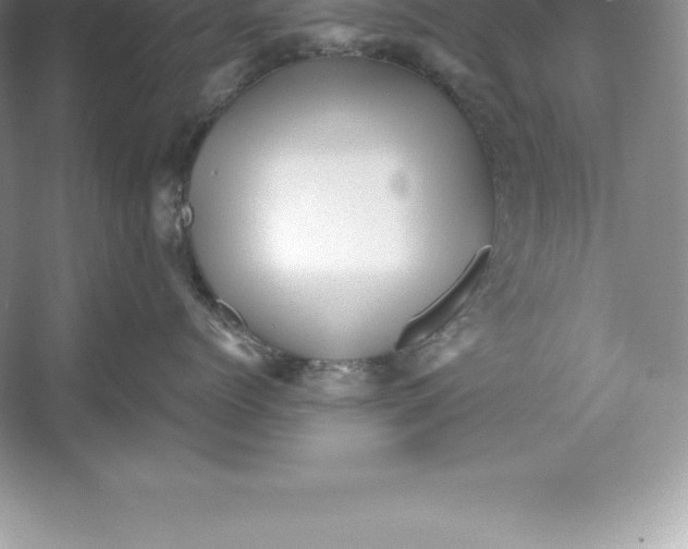 X0000052990768200508051108