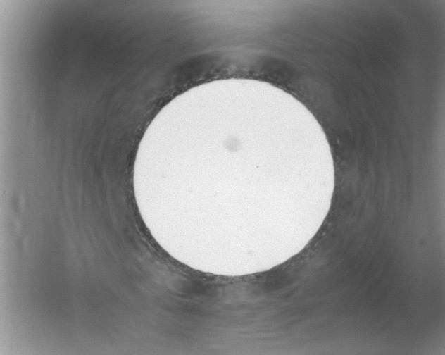 X0000052990769200508051107