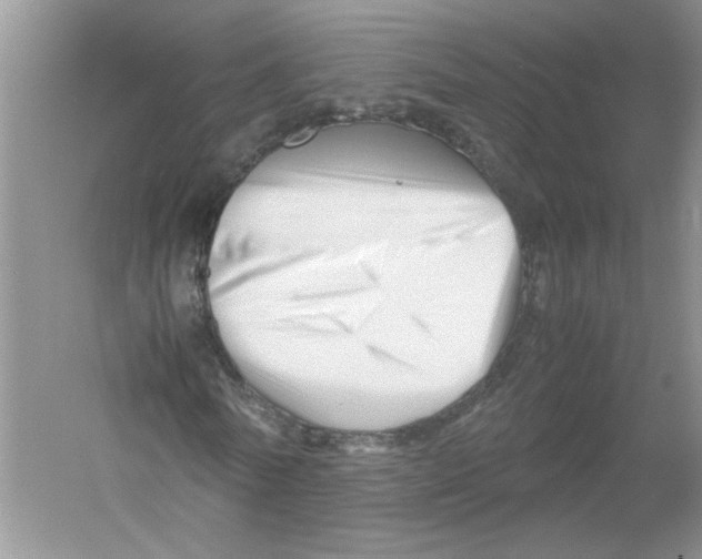 X0000052990770200508051107