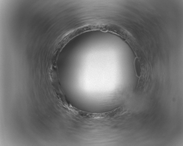 X0000052990773200508051107