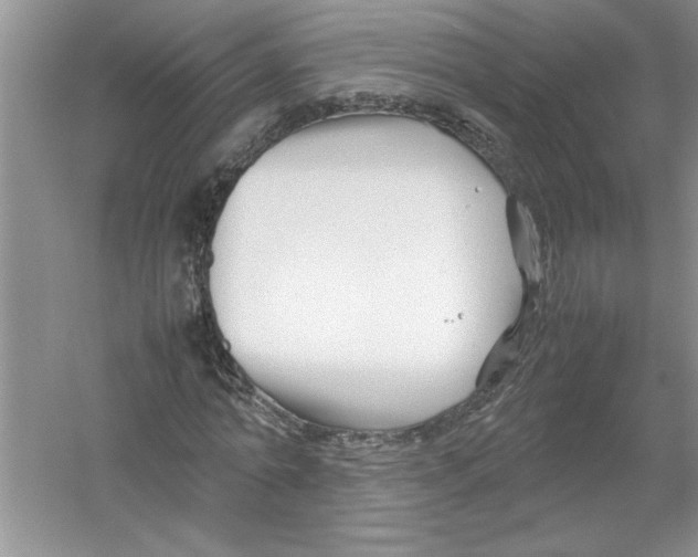 X0000052990774200508051107