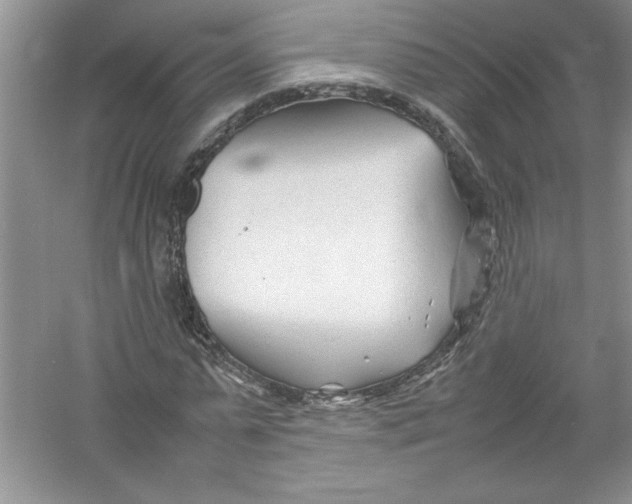 X0000052990775200508051107