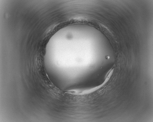 X0000052990776200508051107