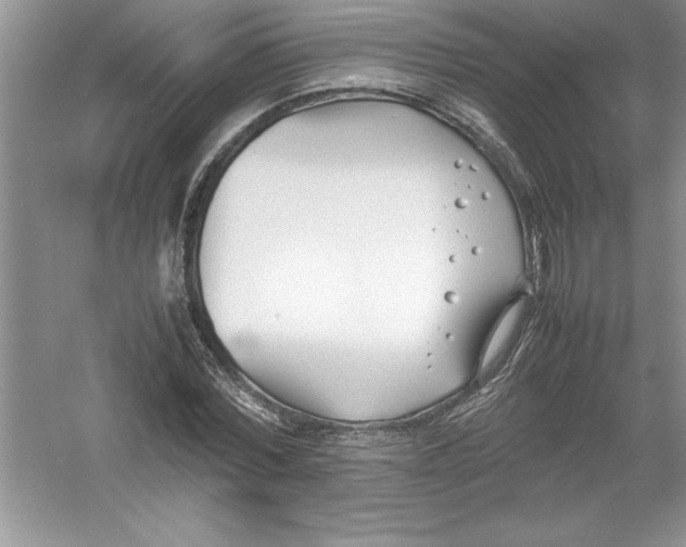 X0000052990780200508051107