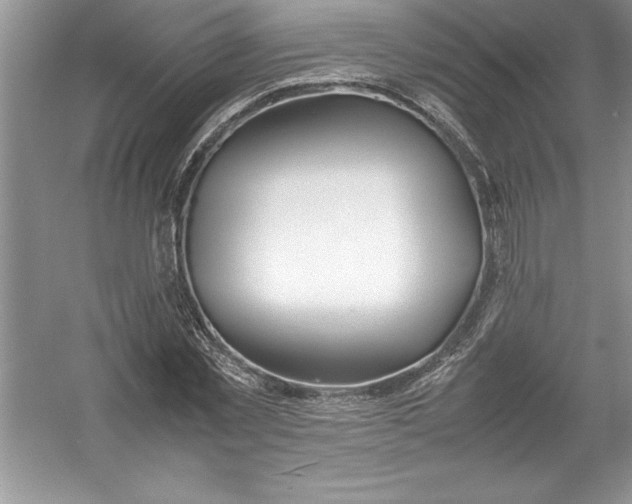 X0000052990781200508051107