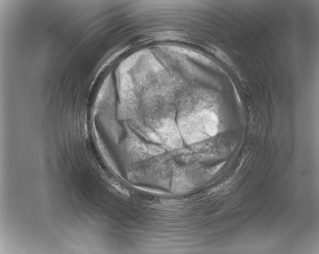 X0000052990782200508051107