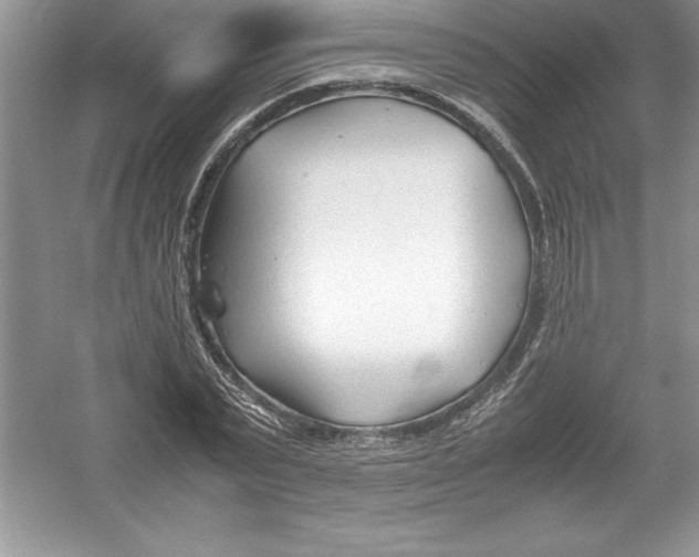 X0000052990783200508051107