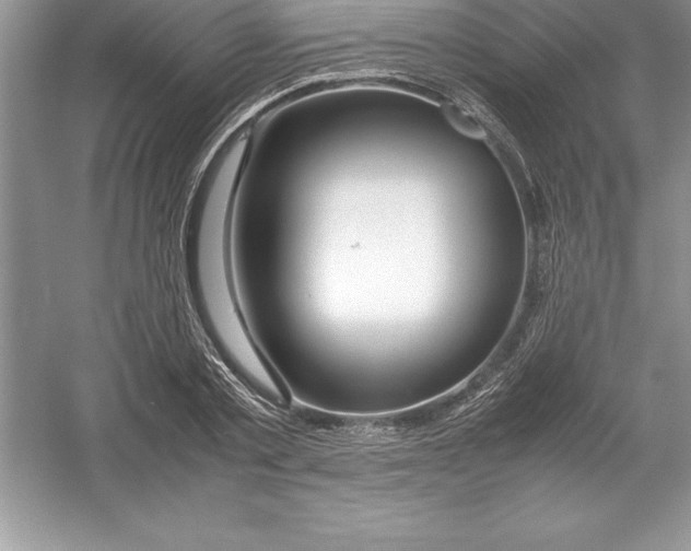 X0000052990789200508051106