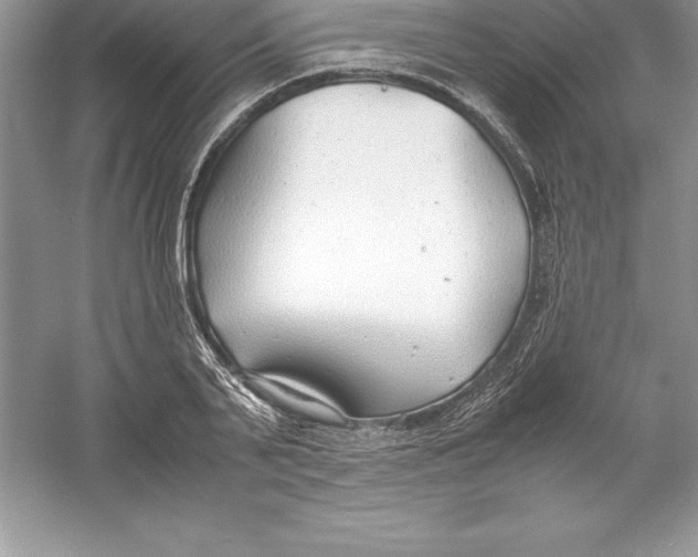 X0000052990791200508051106