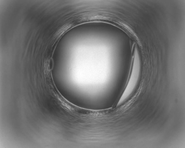 X0000052990793200508051106