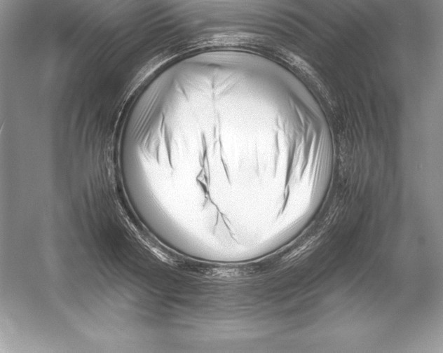 X0000052990794200508051106