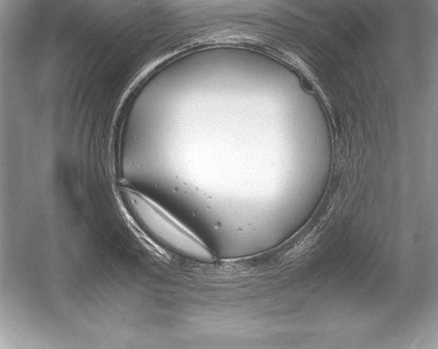 X0000052990795200508051106