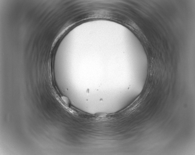 X0000052990796200508051106