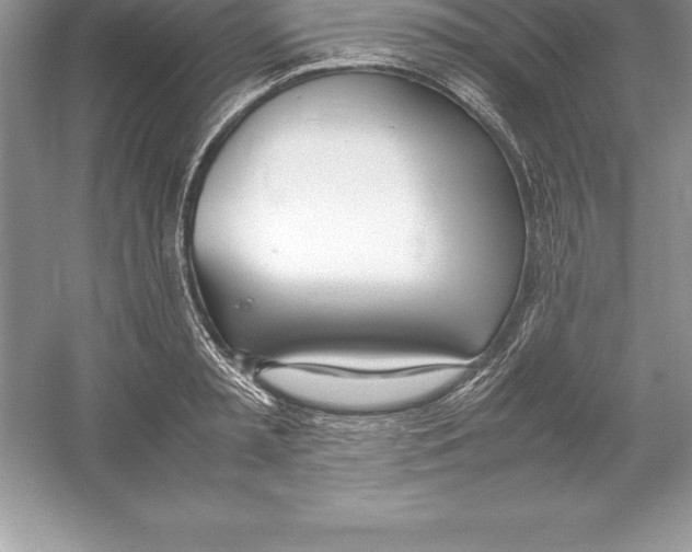 X0000052990797200508051106