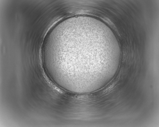 X0000052990798200508051106