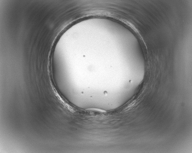 X0000052990799200508051106