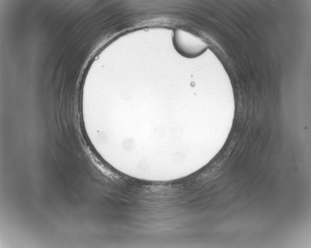 X0000052990800200508051106