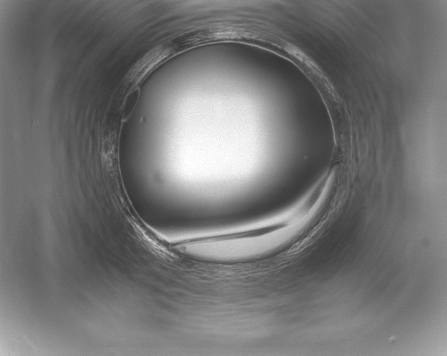 X0000052990801200508051106