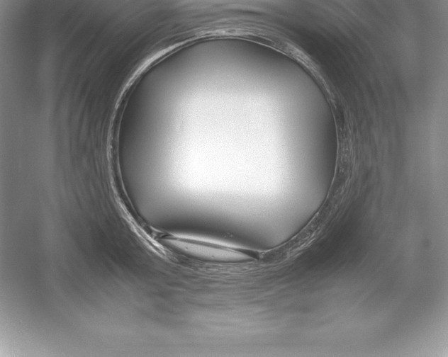 X0000052990803200508051106