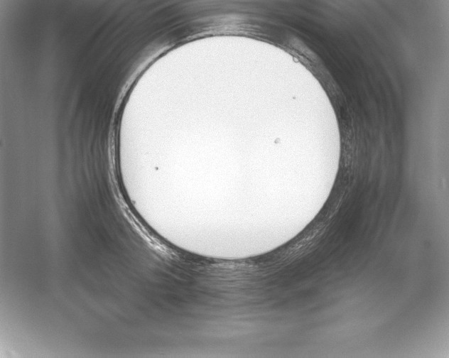 X0000052990804200508051106