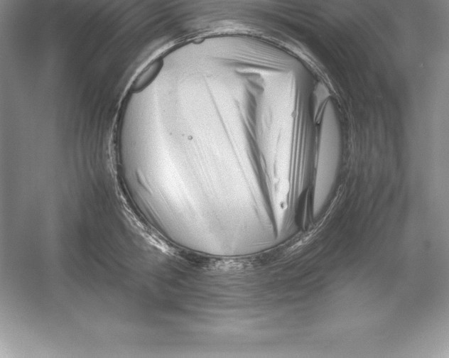 X0000052990806200508051106