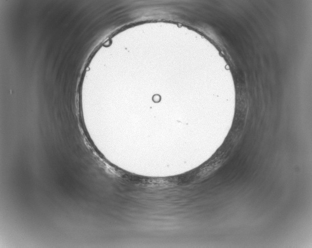 X0000052990807200508051106