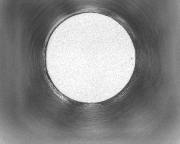 X0000052990808200508051106