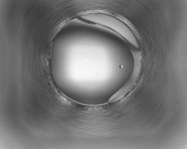 X0000052990809200508051106