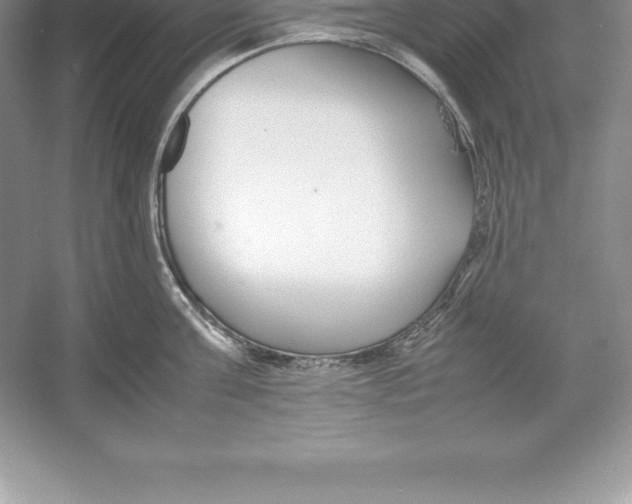 X0000052990811200508051106