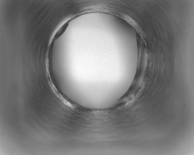 X0000052990812200508051106