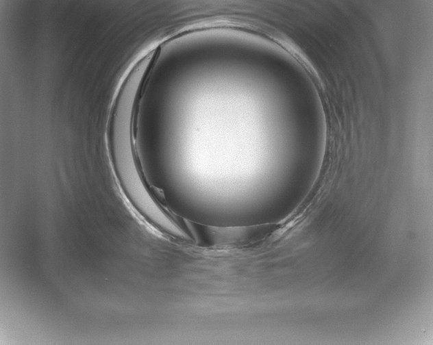 X0000052990813200508051106