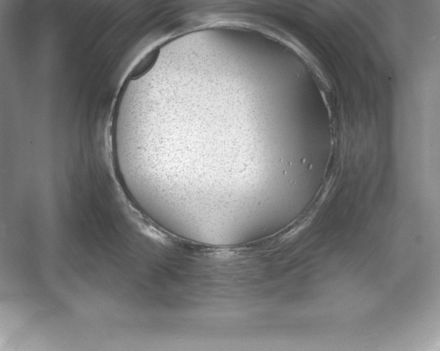 X0000052990814200508051106