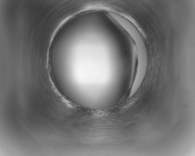 X0000052990815200508051106