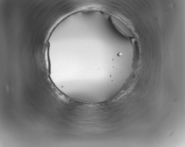 X0000052990816200508051106