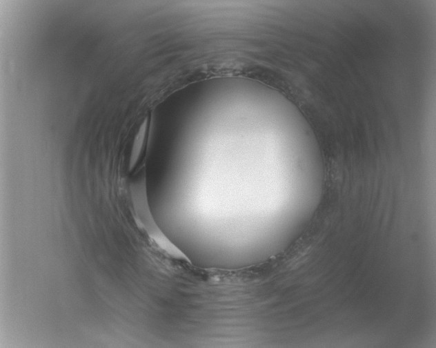 X0000052990818200508051105