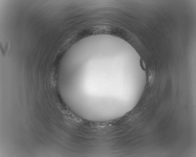 X0000052990819200508051105