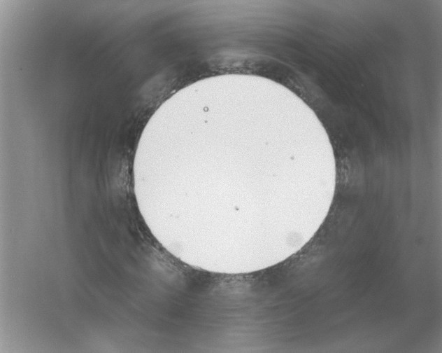 X0000052990820200508051105