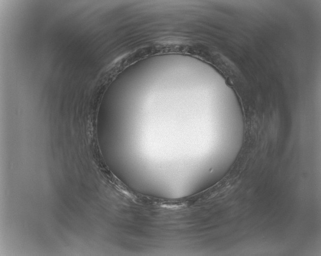 X0000052990821200508051105