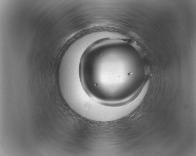 X0000052990822200508051105