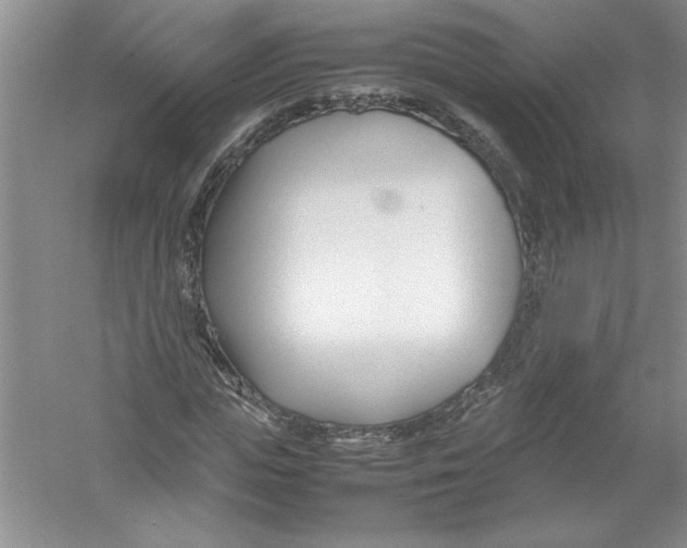 X0000052990823200508051105