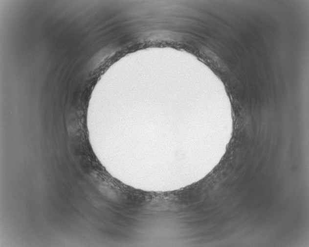 X0000052990824200508051105