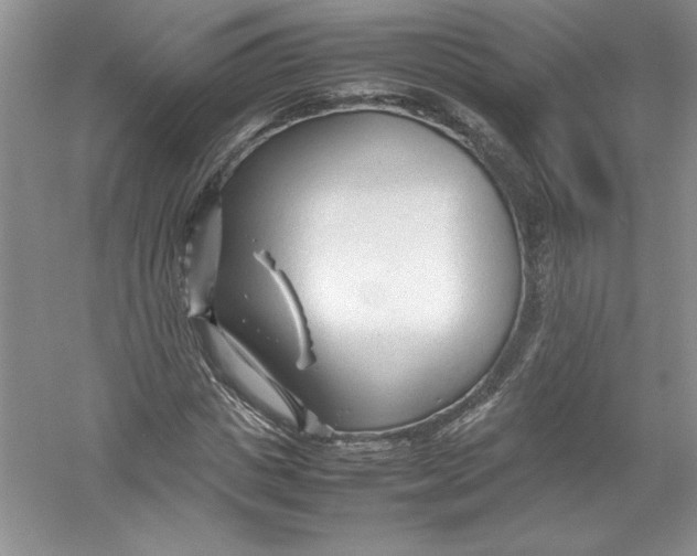 X0000052990825200508051105