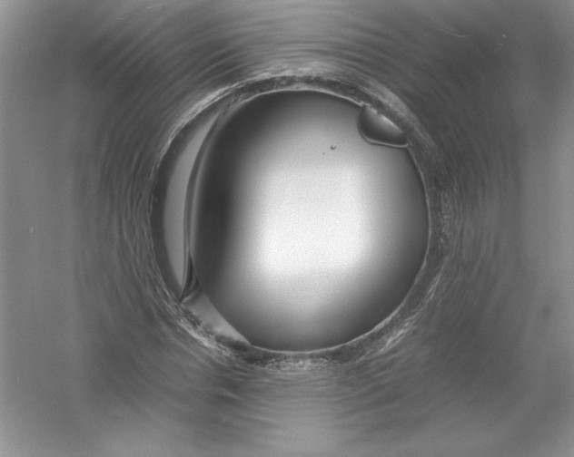 X0000052990826200508051105