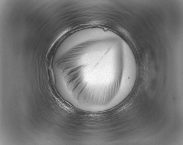 X0000052990827200508051105