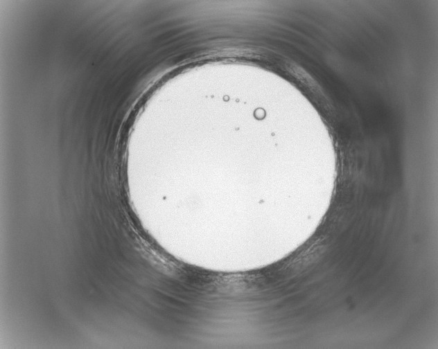 X0000052990828200508051105