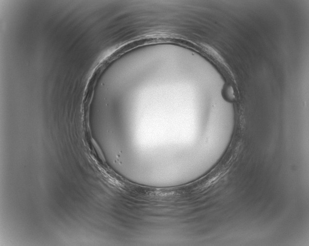 X0000052990831200508051105