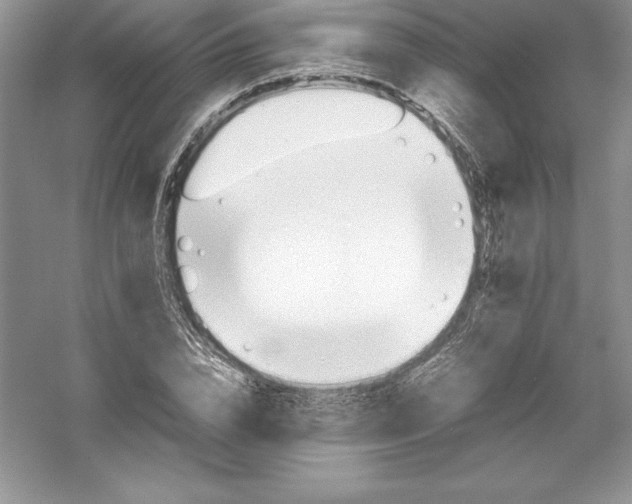 X0000052990832200508051105